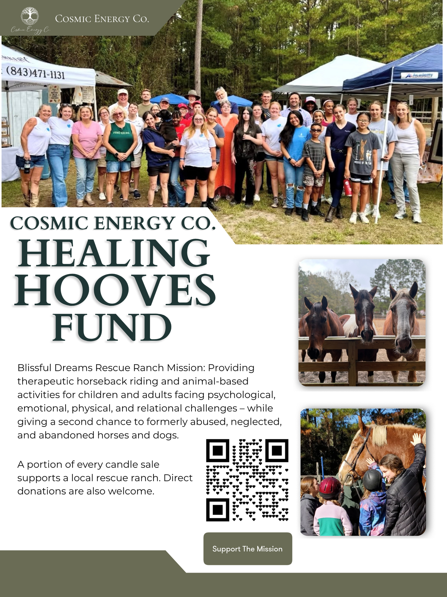 The Healing Hooves Donation Options